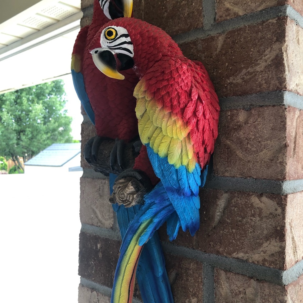**SOLD** Tropical Scarlett Macaws Wall Decor